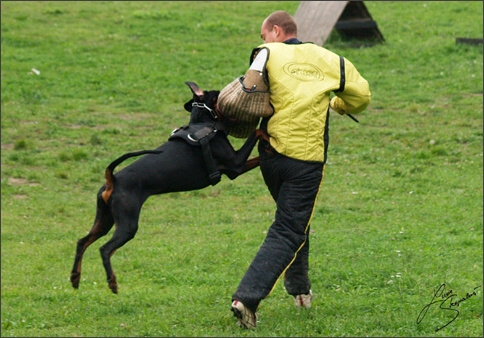 Training in Prague 10/2007